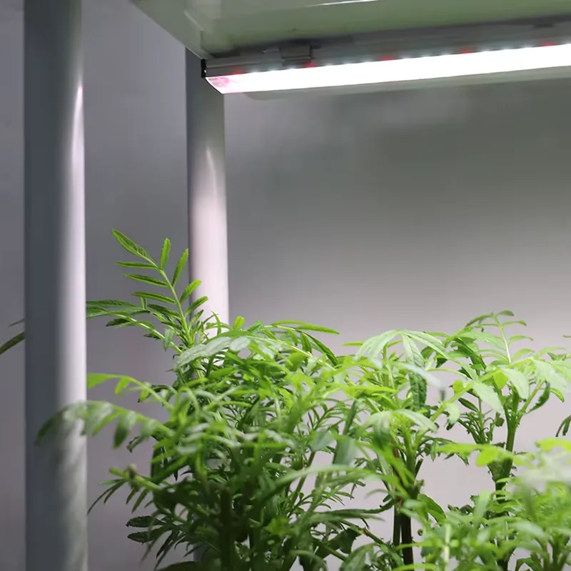 Self-Watering Planter - نظام زراعة عمودي متحرك بثلاثة مستويات