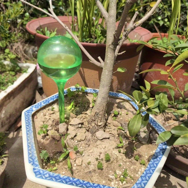 6 قطع من كرات الري الذاتي للنب - مراجعة Automatic Plant Waterer وسعره