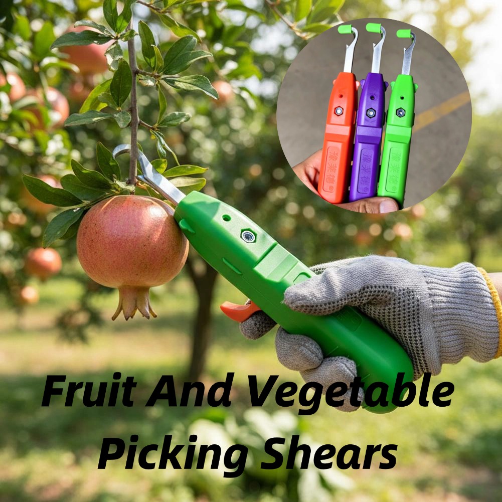 مقصات قطف الفاكهة والخضروات، م - مراجعة Gardening Tools Vegetables وسعره